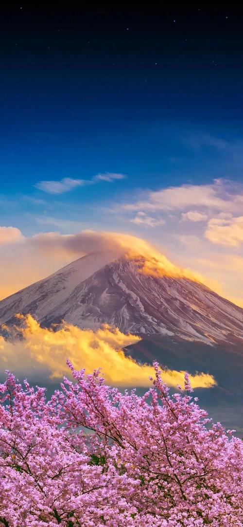 554_1200 竖版 竖屏