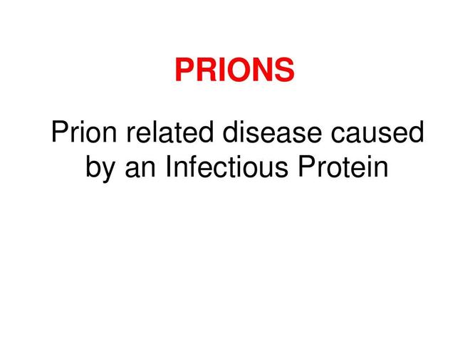 priondiseasesppt_word文档在线阅读与下载_免费文档