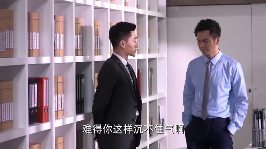 何以笙箫默:向恒告诉何以琛,他最近反常得太明显了