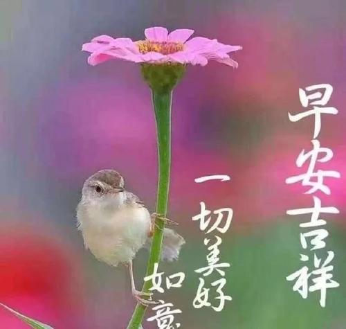 漂亮的微信早上好问候祝福语,最新早晨好问候祝福语短信