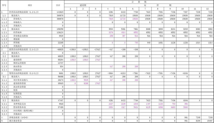 财务计划现金流量表