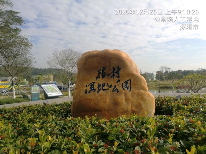 热烈祝贺深圳市光明区公明街道老体协"健步行"活动圆满成功!