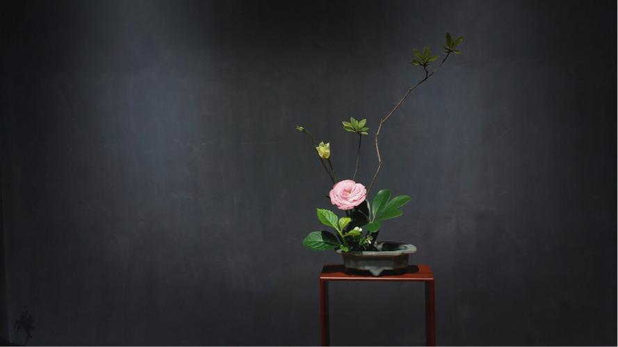 中式插花花艺课程