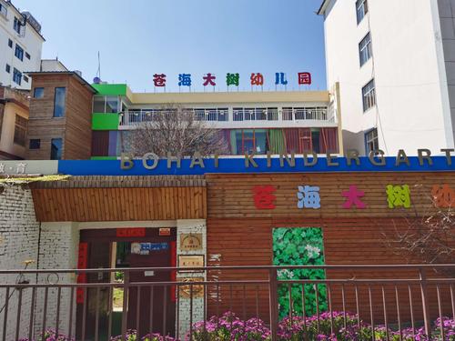 春暖花开 等你归来——苍海大树幼儿园