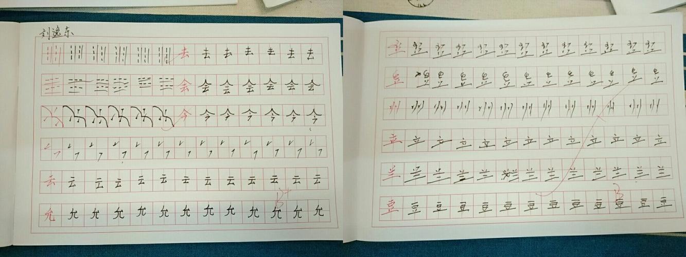 疯狂龙博士壹舟字根书法班第一期总结点评