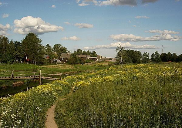 08年夏季我在乡下