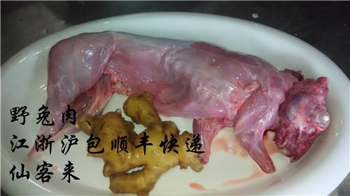 正宗活杀新鲜散养野兔肉 新鲜生兔子肉 江浙沪包邮