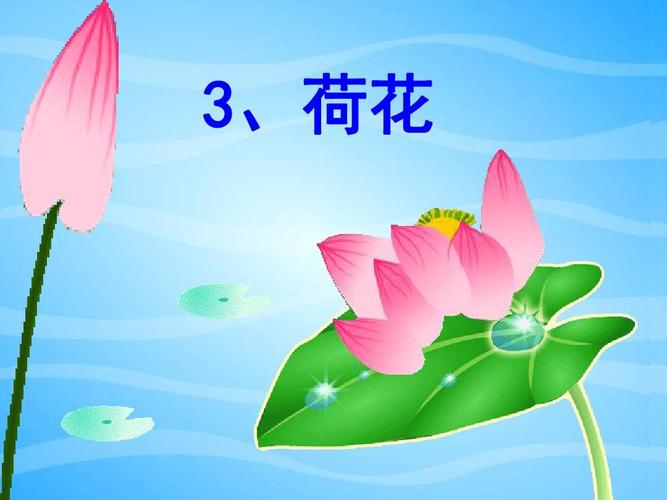 3荷花(三年级语文下册)ppt