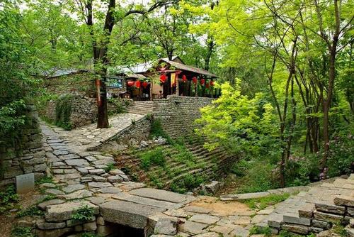 山东又一古村走红,人称潍坊"最美乡村",却因门票40被吐槽