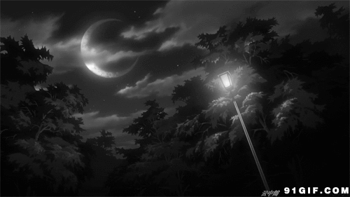 500_281gif 动态图 动图