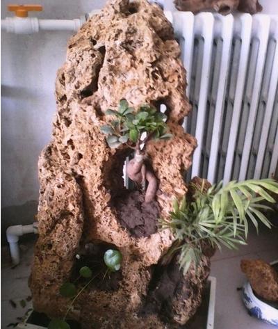 上水石摆放风水宜忌有哪些