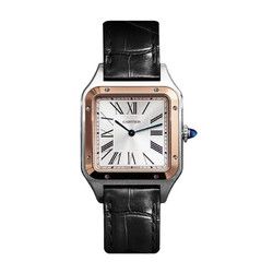 cartier卡地亚瑞士手表山度士系列石英男表w2sa0011