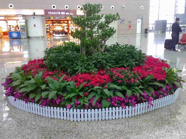 花卉租摆产业的未来前景