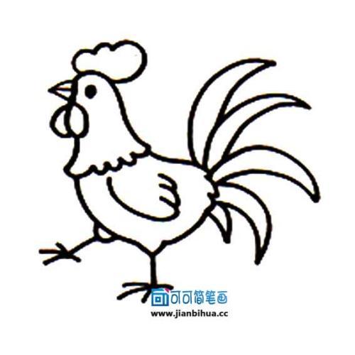 关于鸡鸭鹅的手抄报 手抄报版面设计图