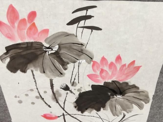 国画荷花_国画_荷花_文化_绘画