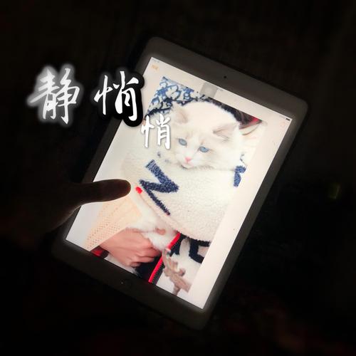 静悄悄(cover:大泫)