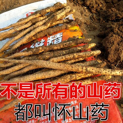 正宗焦作温县铁棍山药怀山药坊新鲜垆土铁棍淮山怀山约5斤荮铁杆