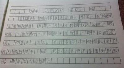 写关于观察蚂蚁的作文