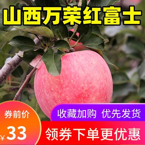 山西运城万荣优质红富士苹果新鲜水果超大脆甜冰糖心丑特大果10斤