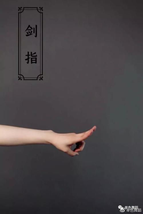 剑指:食指与中指并拢并保持指尖的力量感,其余三指相扣形成空心.3.