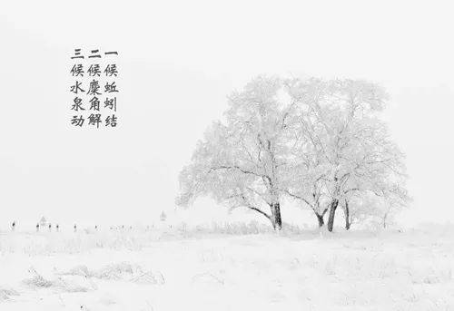 冬至九九消寒图手抄报 九九重阳手抄报