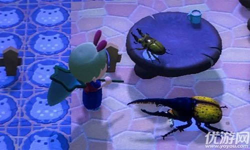 动物之森甲虫怎么抓动物之森甲虫捕捉技巧及刷新机制介绍