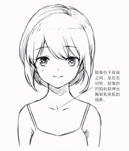 动漫人物肩膀画法教程