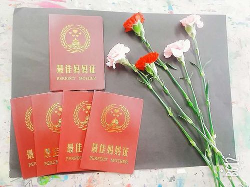 母亲节——最佳妈妈证