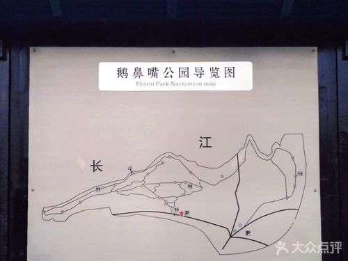 鹅鼻嘴公园-图片-江阴周边游-大众点评网