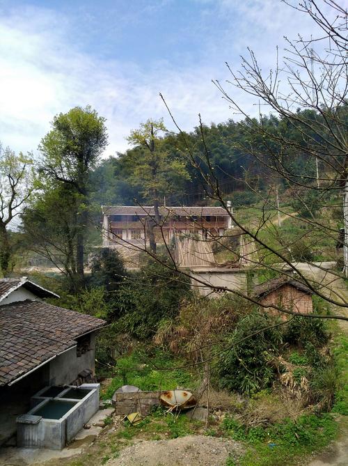 武夷山下__大坞村