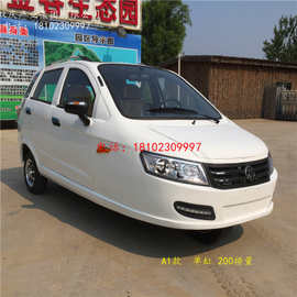 三轮汽油摩托车 载客全封闭三轮摩托车 非富路金骏马三轮轿车代步