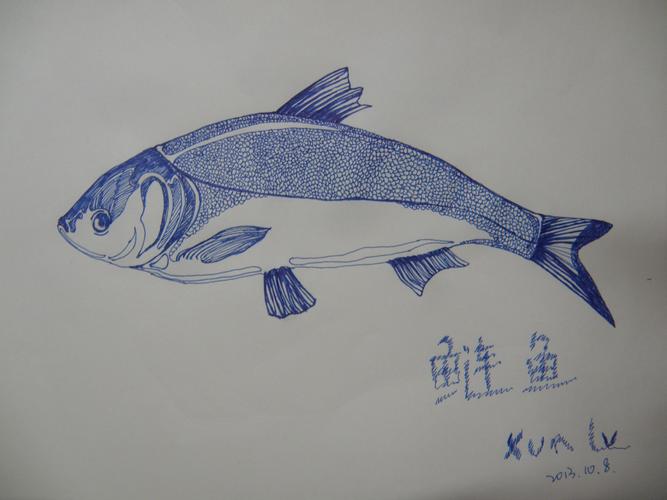 《鲢鱼》