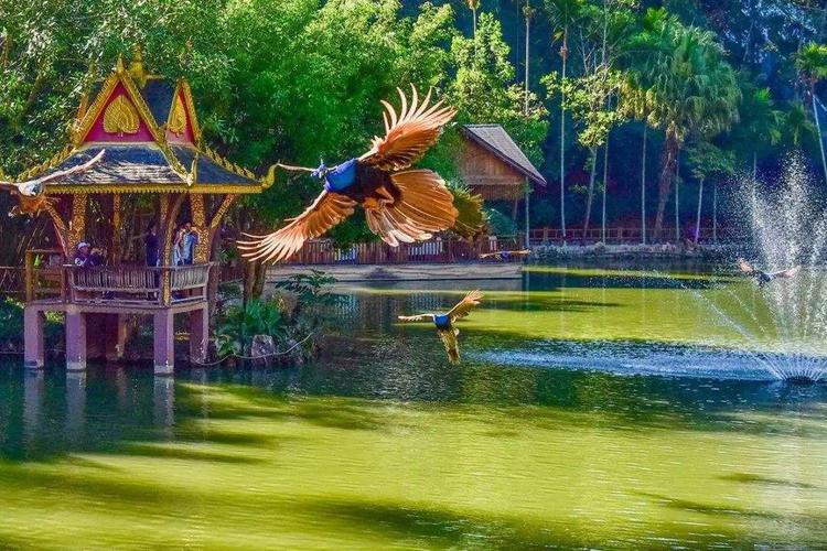 西双版纳度假旅游景点推荐:国庆中秋节到版纳要去这些
