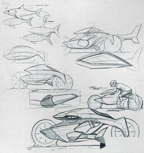 仿生造型设计仅仅是对自然生物的简单模仿吗?「手绘530day」