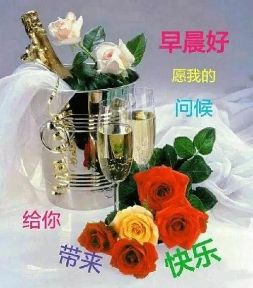晚安朋友:晚上好动态图片带字鲜花,今天辛苦了