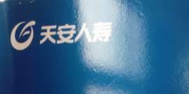 天安人寿