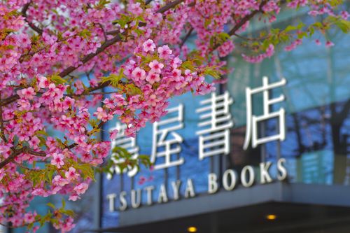 代官山茑屋书店