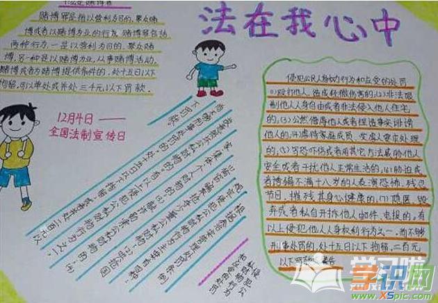 小学宪法的手抄报_宪法的手抄报图片