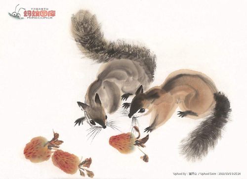 国画松鼠图片