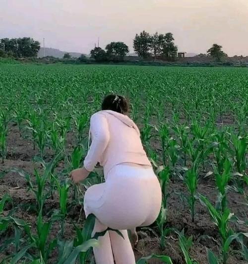 抖音种田女神因性感身材火了网友这谁顶的住