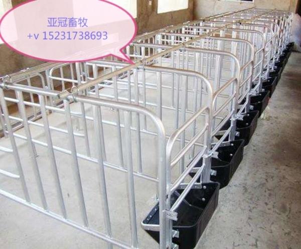 限位栏作用母猪定位栏养猪场复合漏粪板离地定位栏好处