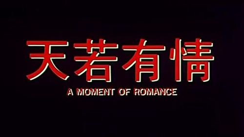                        天若有情