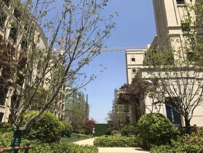 15万㎡马鞍山这3套退房要火中南绝版户型来了