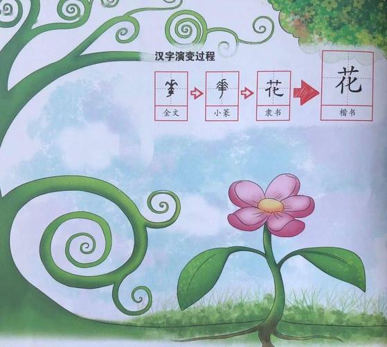 汉字娃娃图图姐姐带你了解汉字那些事儿草花