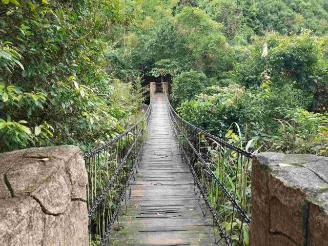 东兴屏峰雨林公园景区旅游攻略 之景点1(1/共17页)