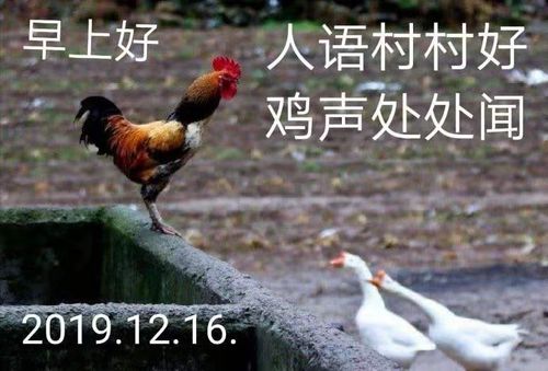 早上好