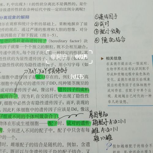 高中生物必修二 第一课 教材批注式笔记