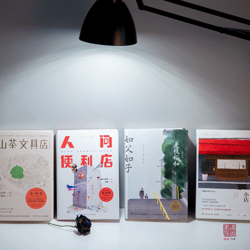 2018日本最新畅销小说合集如父如子人间便利店鱼河岸小店山茶文具店
