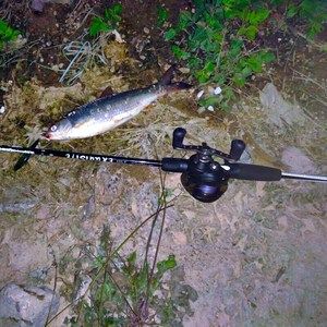 路亚竿ml直柄路亚竿套装新手枪柄水滴轮碳素路亚竿