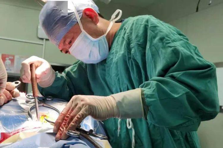 研所提供的最新数据,截至2021年7月15日,共完成了10601例骨髓移植手术